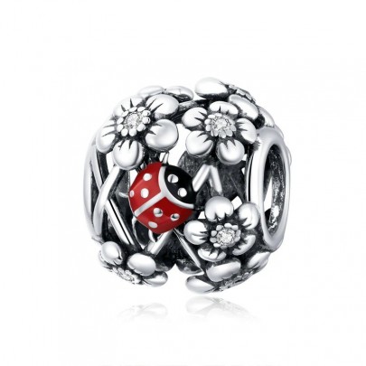 Pachet promo diverse bijuterii din argint inel reglabil + talisman ladybug